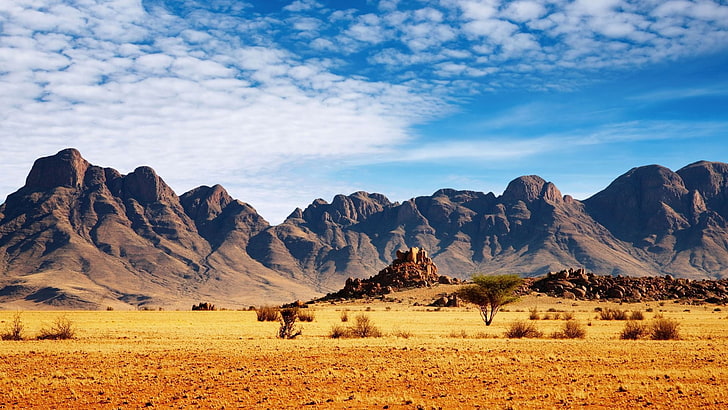 Mountains and trees greet the Prophet