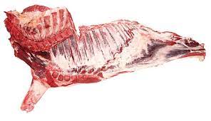 the meat of the forequarter